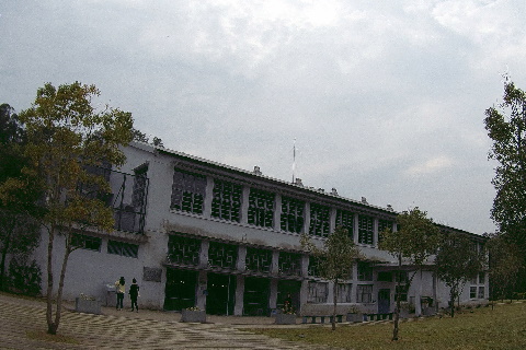 大溪老茶廠.jpg