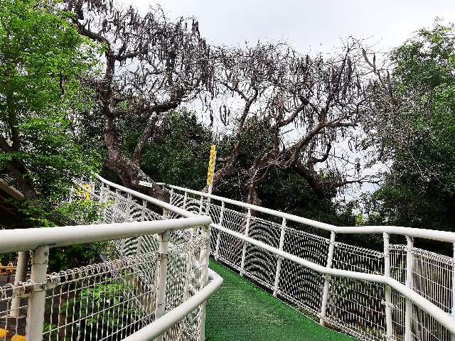 八卦山W03.jpg